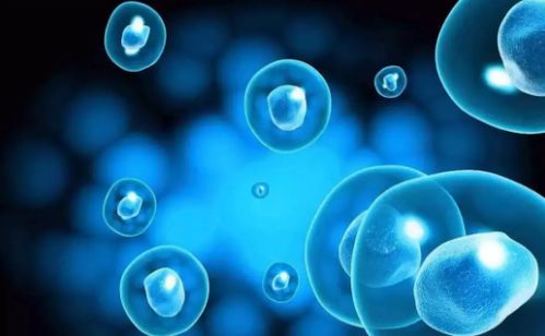 干細(xì)胞儲(chǔ)存沒(méi)用不靠譜 這3點(diǎn)讓你相信未來(lái)生物科技