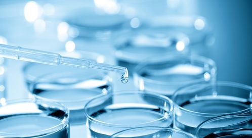 細胞培養(yǎng)干貨總結 生物科技領域的關鍵技術與實踐要點